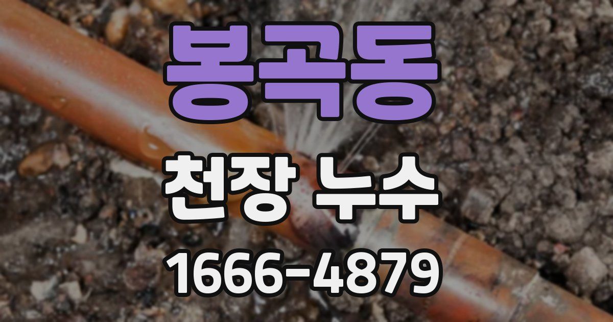 봉곡동 천장 누수