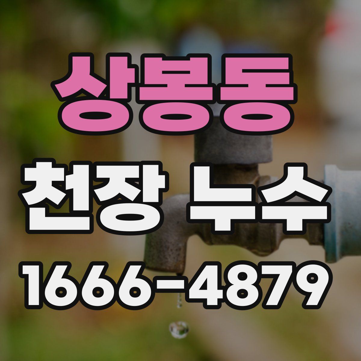 상봉동 천장 누수