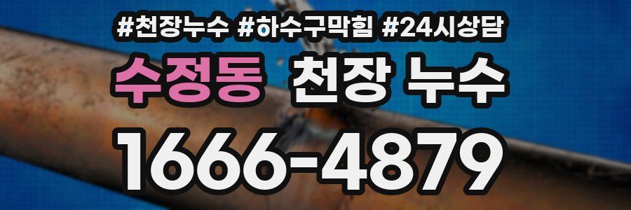 수정동 천장 누수