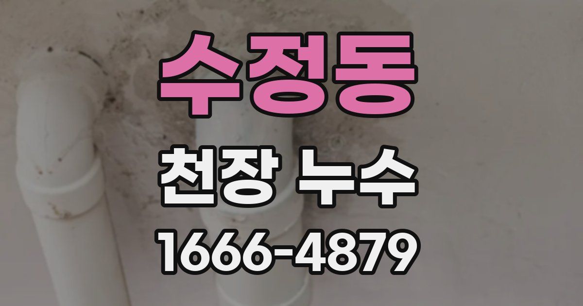 수정동 천장 누수