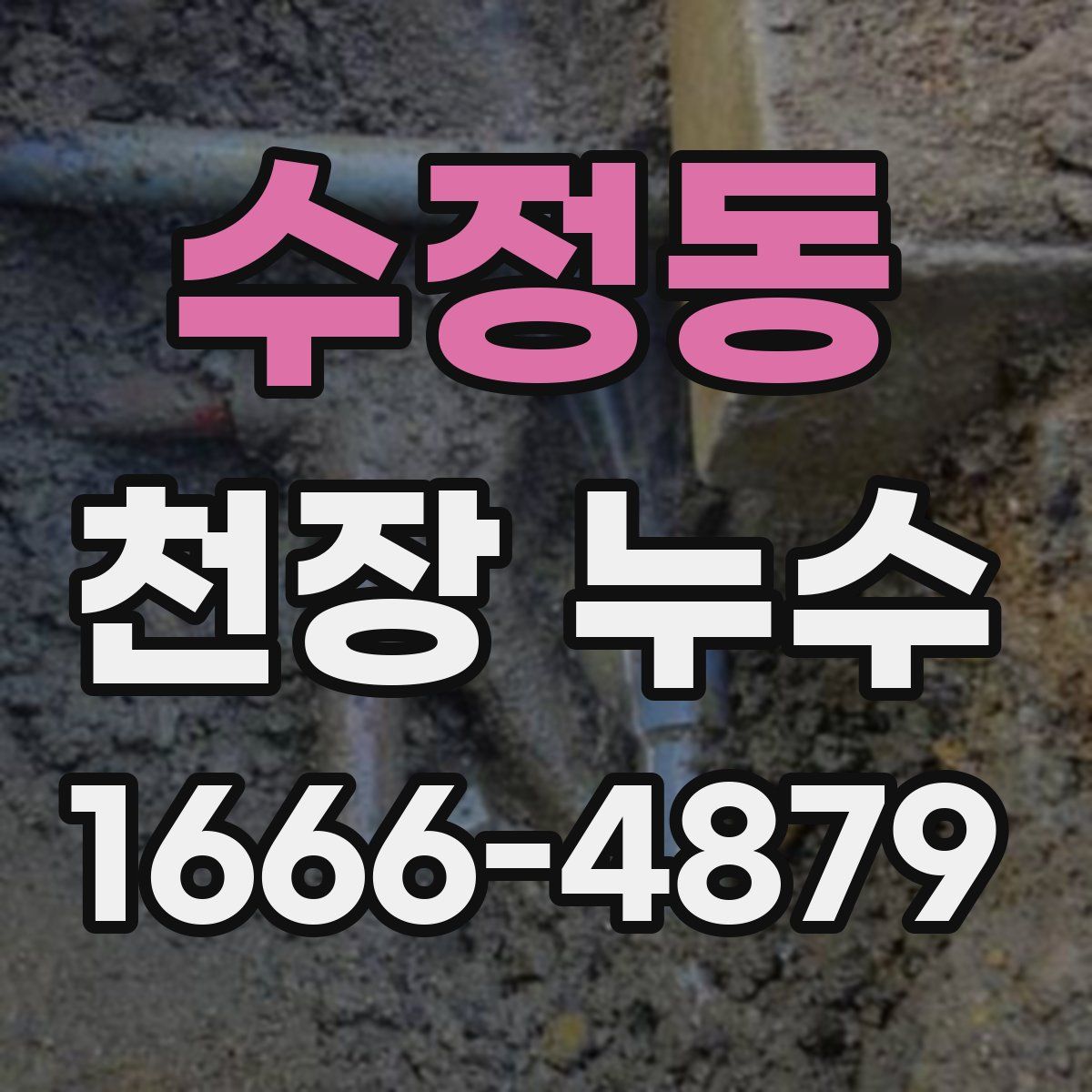 수정동 천장 누수