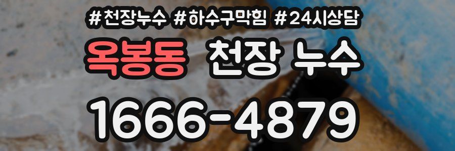 옥봉동 천장 누수