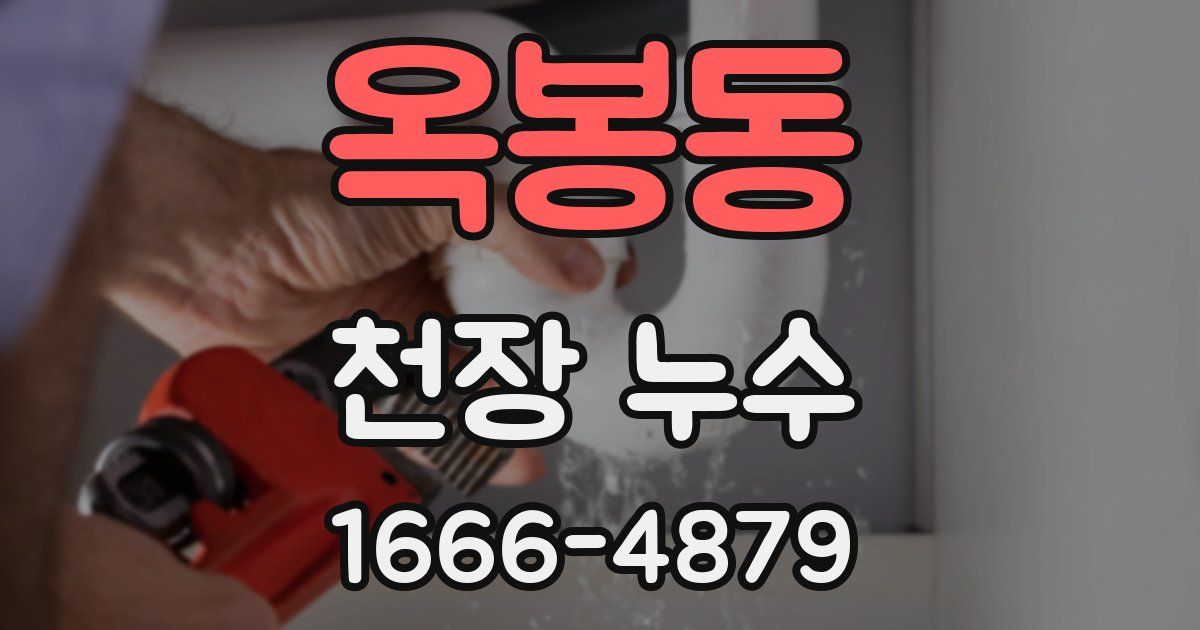 옥봉동 천장 누수