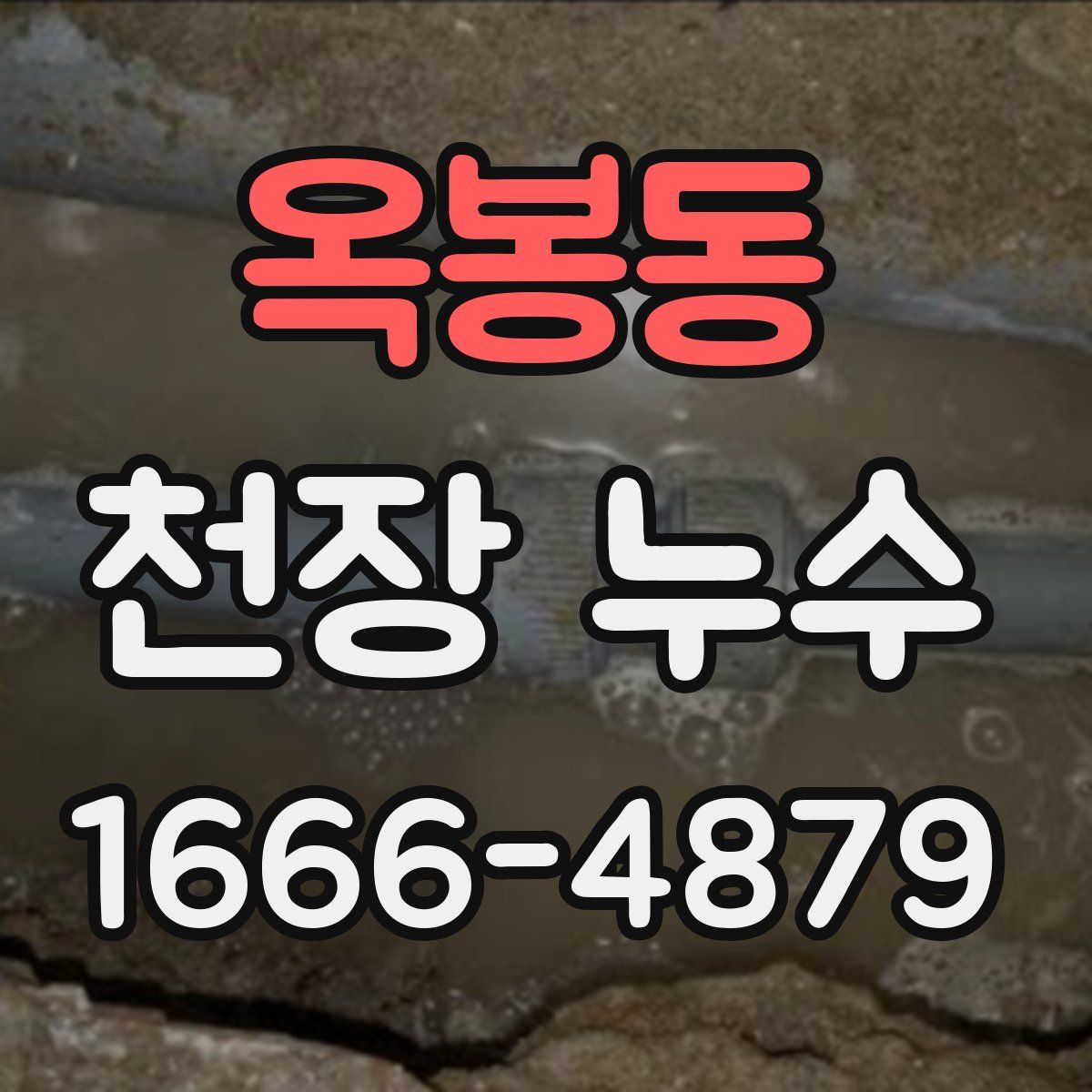 옥봉동 천장 누수