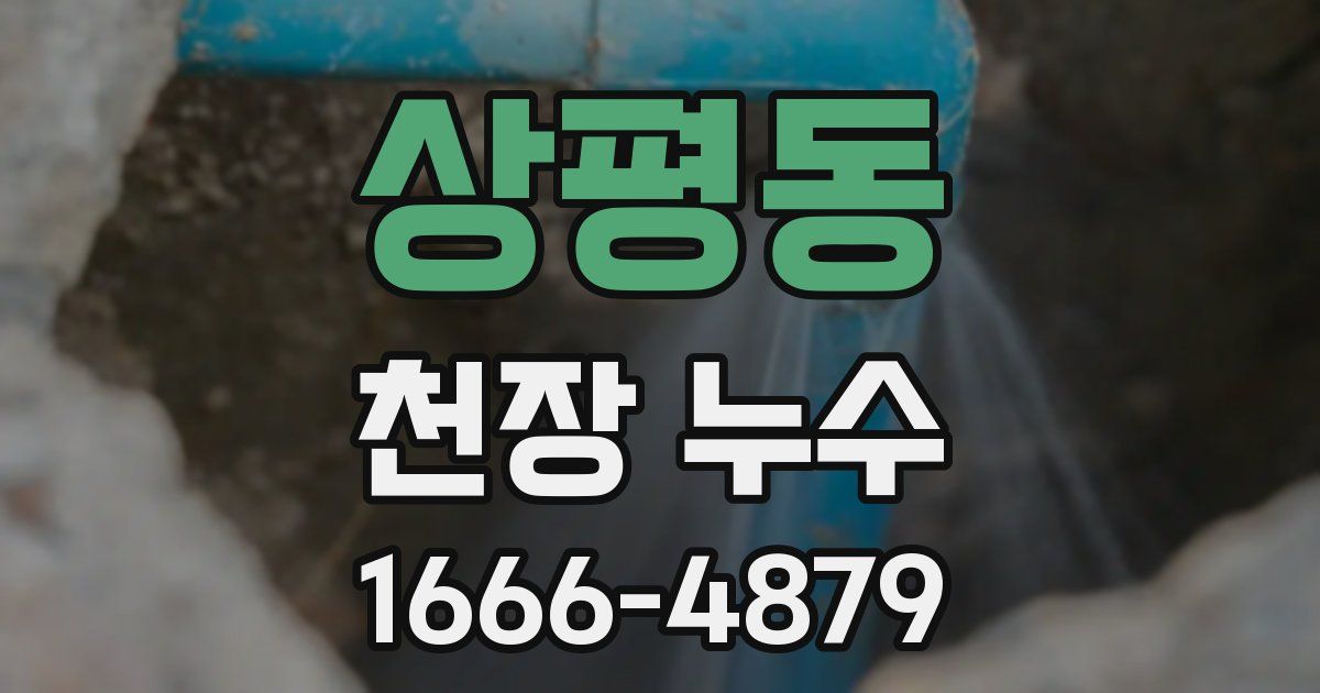 상평동 천장 누수