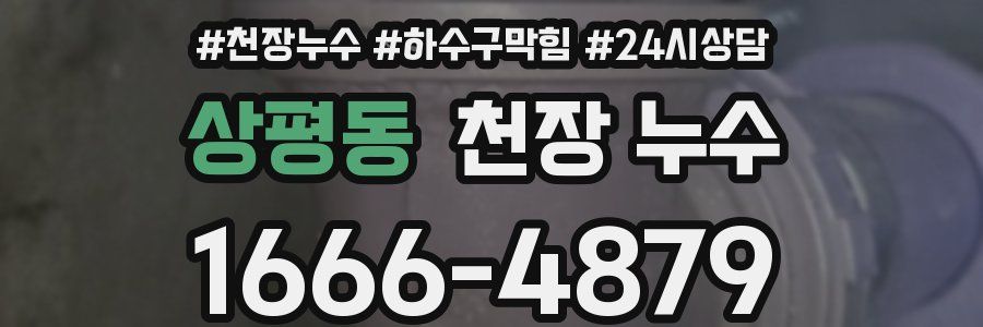 상평동 천장 누수