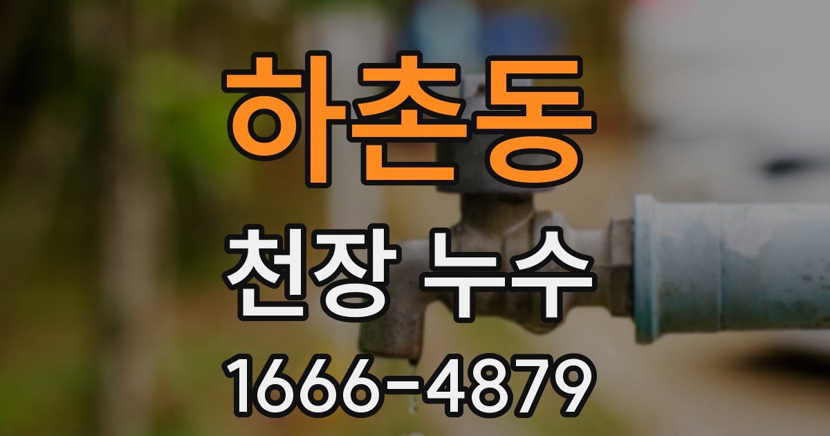 하촌동 천장 누수