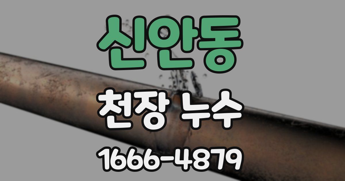 신안동 천장 누수
