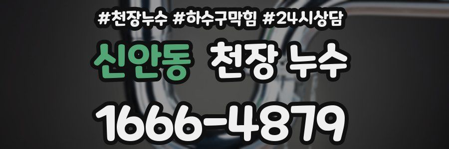 신안동 천장 누수