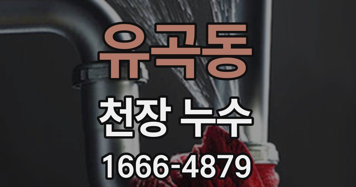 유곡동 천장 누수