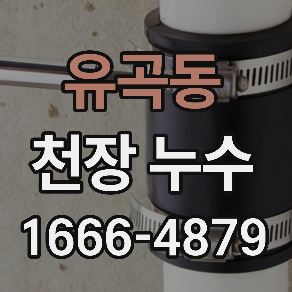 유곡동 천장 누수