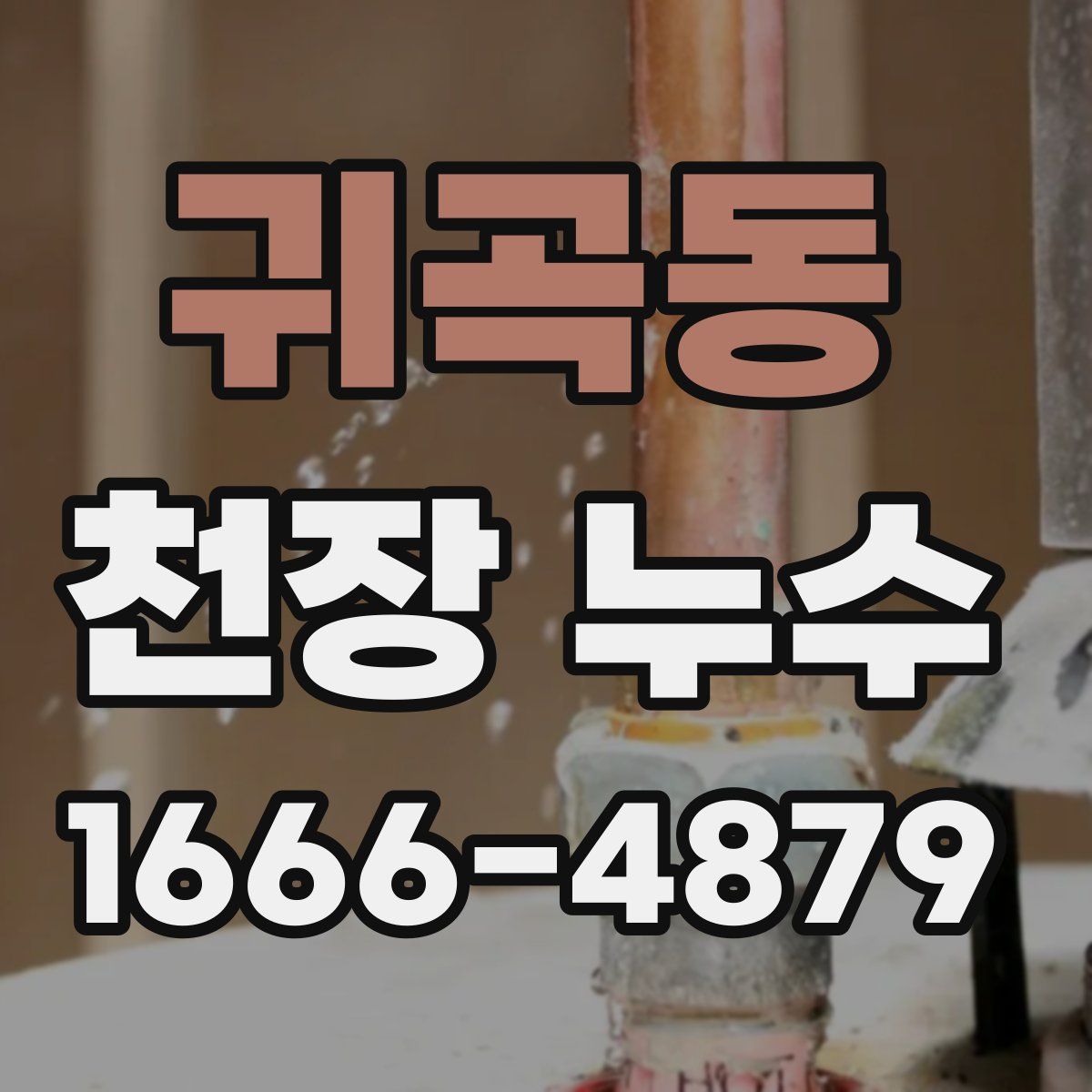 귀곡동 천장 누수