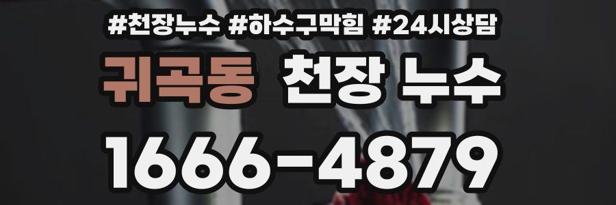 귀곡동 천장 누수