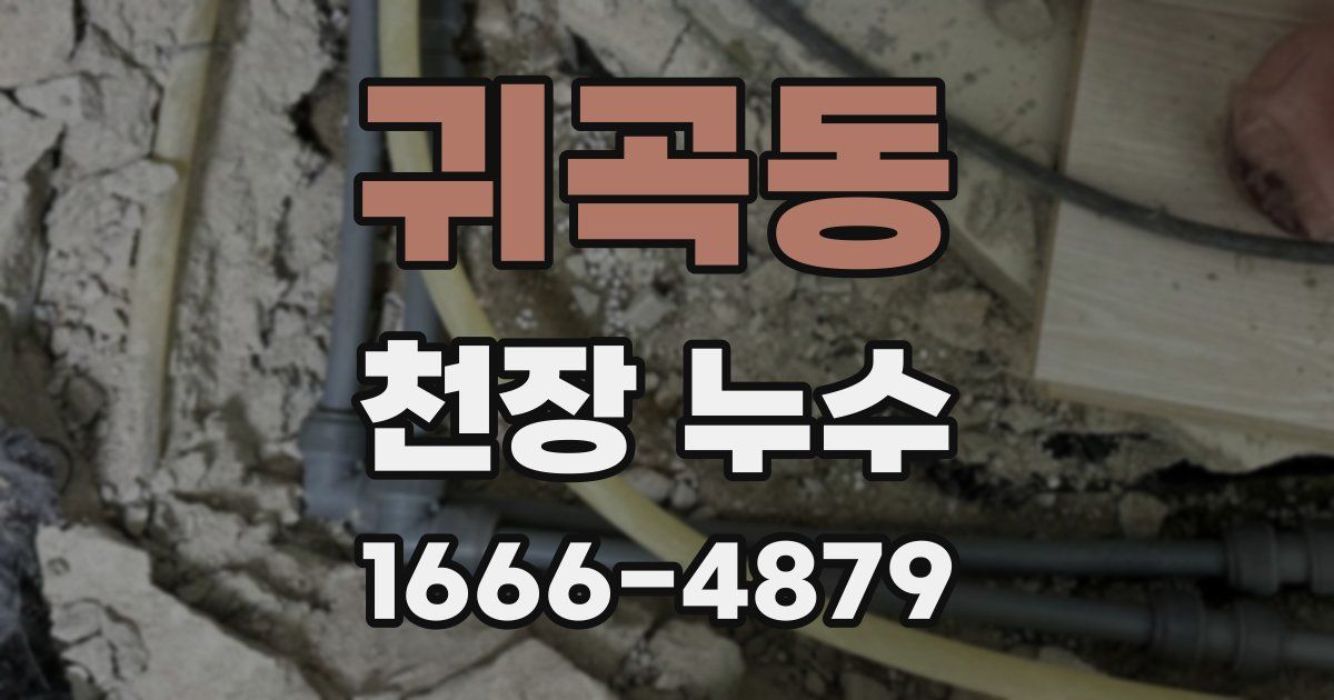 귀곡동 천장 누수