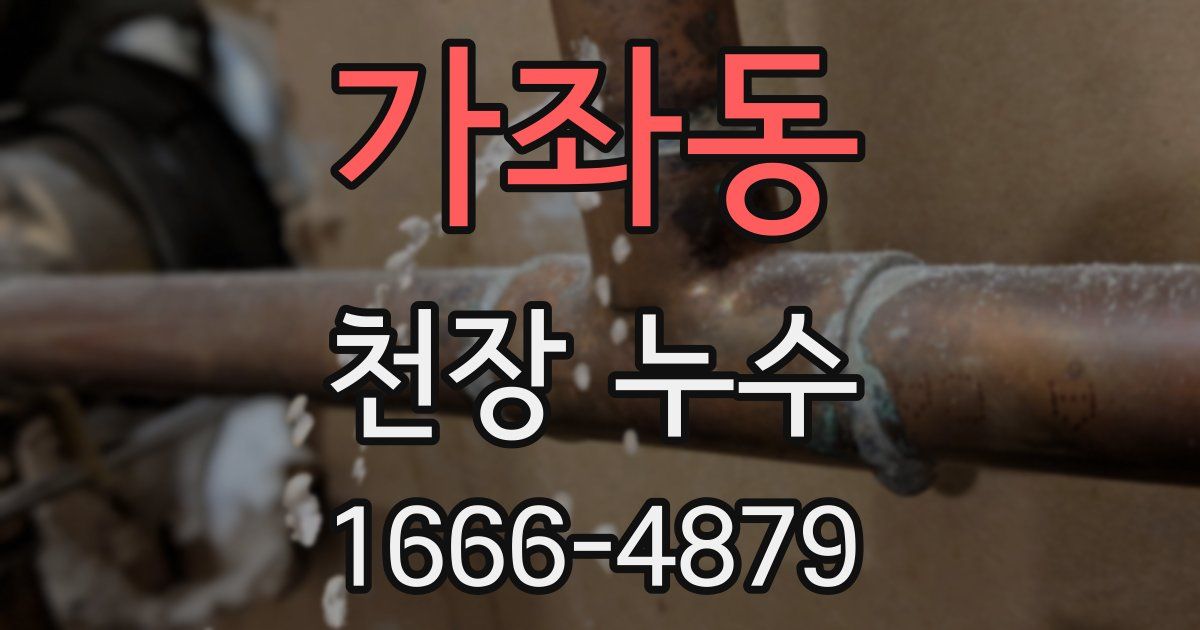 가좌동 천장 누수
