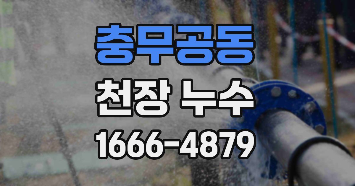 충무공동 천장 누수