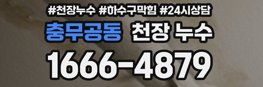 충무공동 천장 누수
