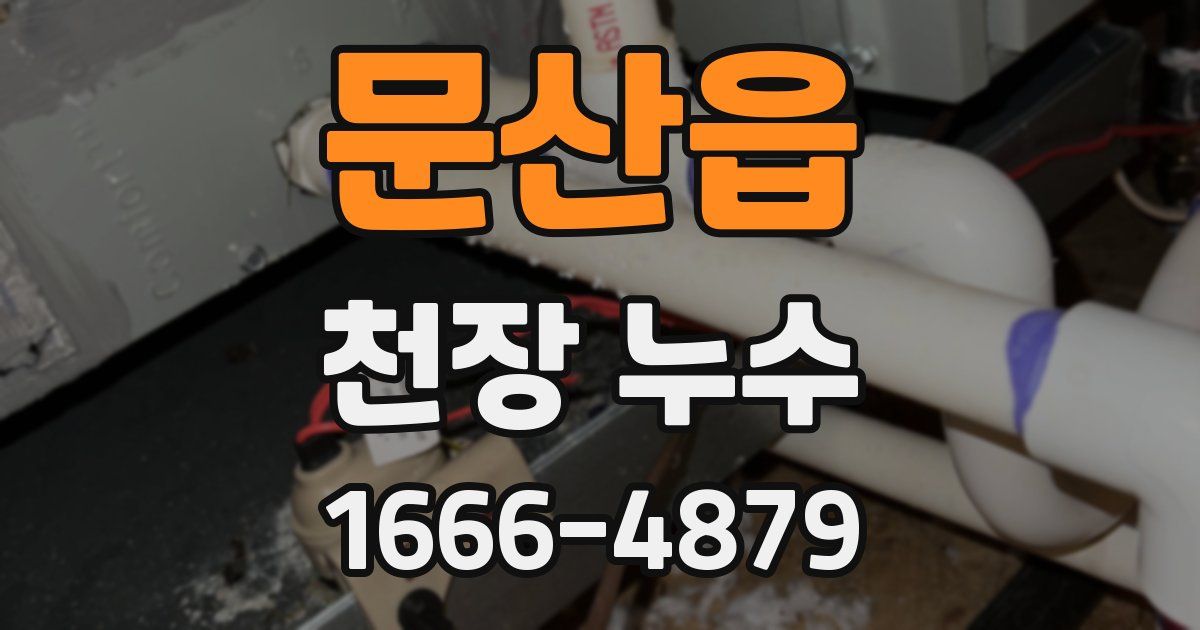 문산읍 천장 누수