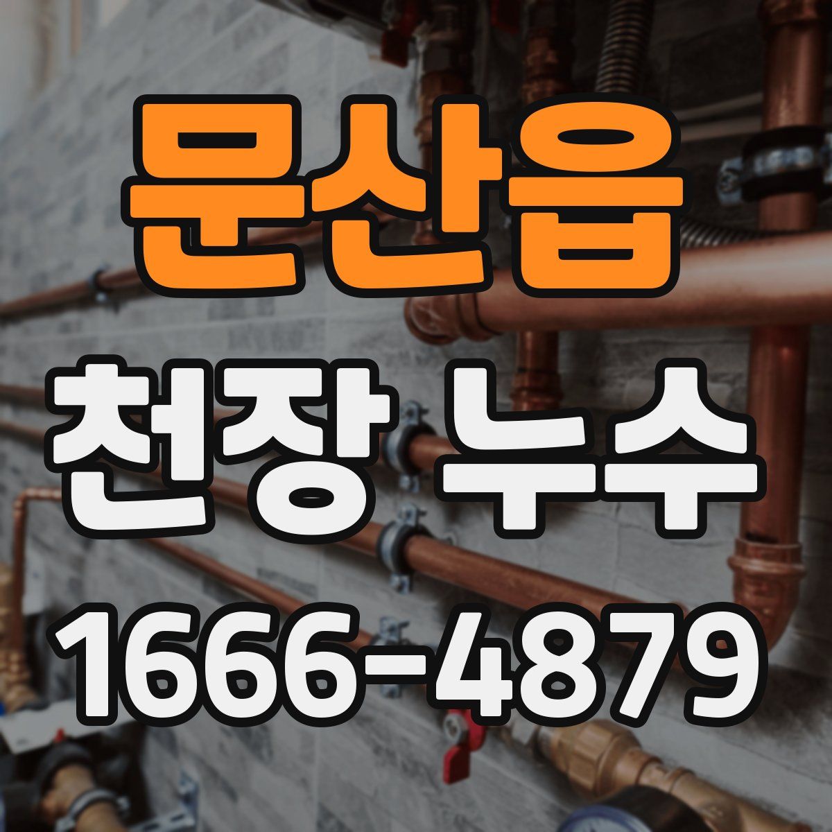 문산읍 천장 누수