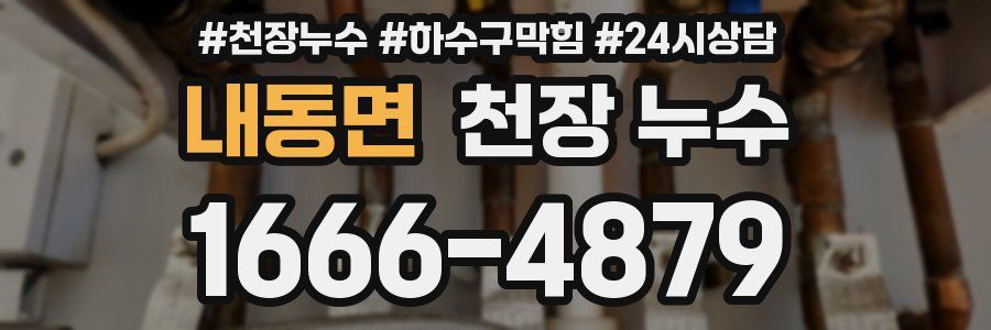 내동면 천장 누수