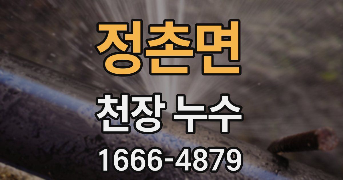 정촌면 천장 누수