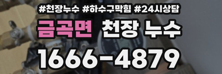 금곡면 천장 누수