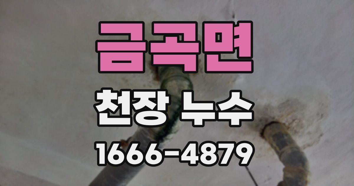 금곡면 천장 누수