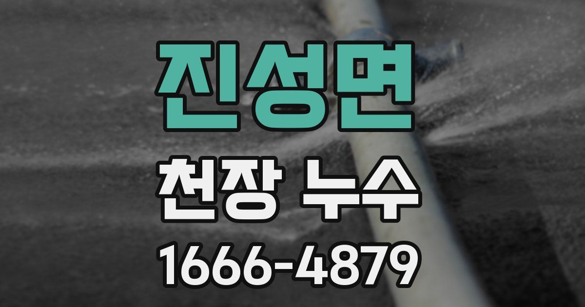 진성면 천장 누수