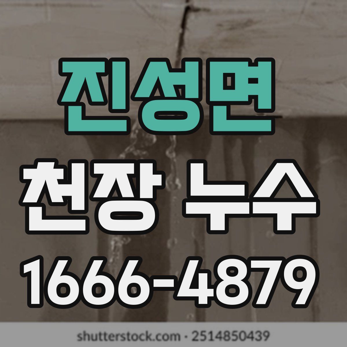 진성면 천장 누수