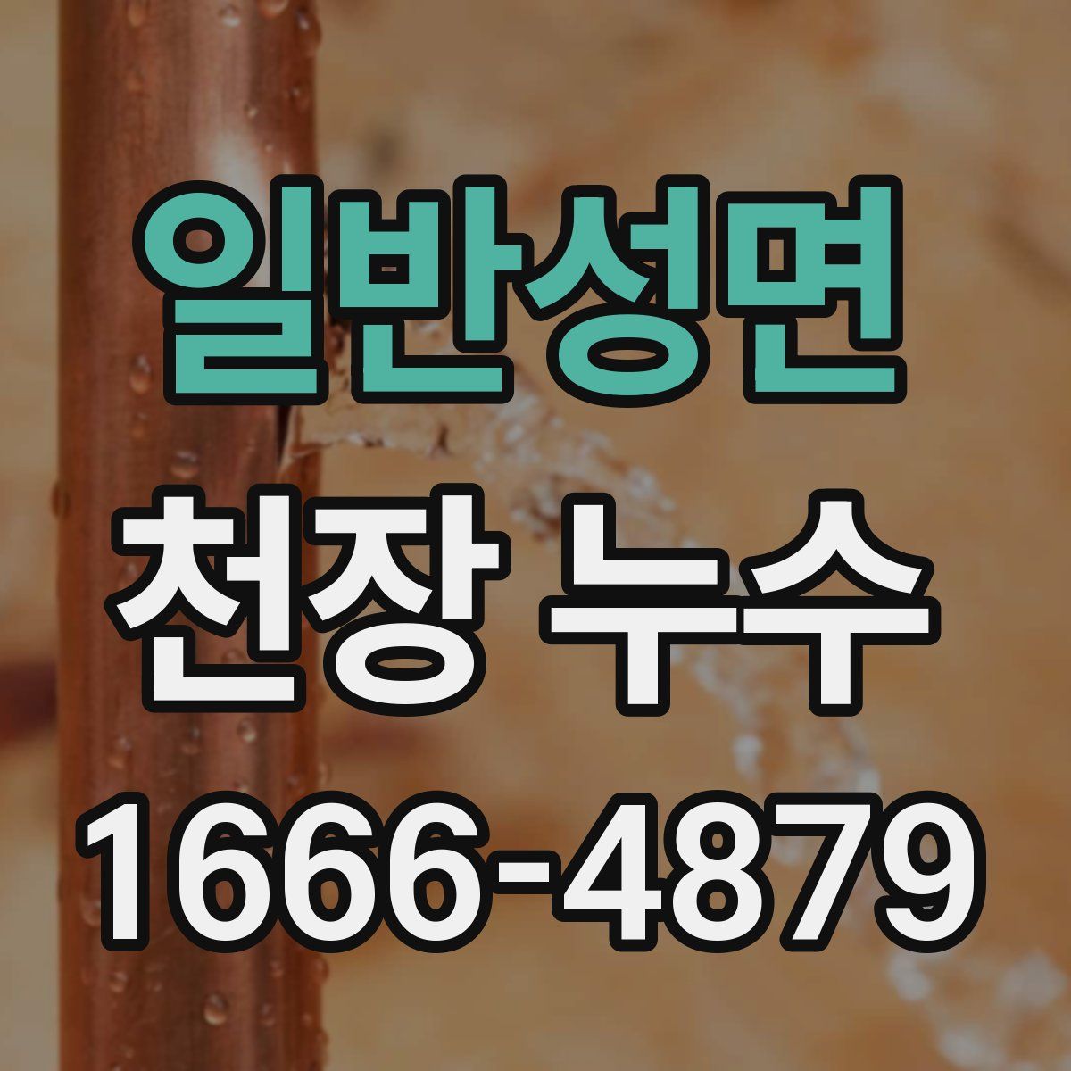 일반성면 천장 누수