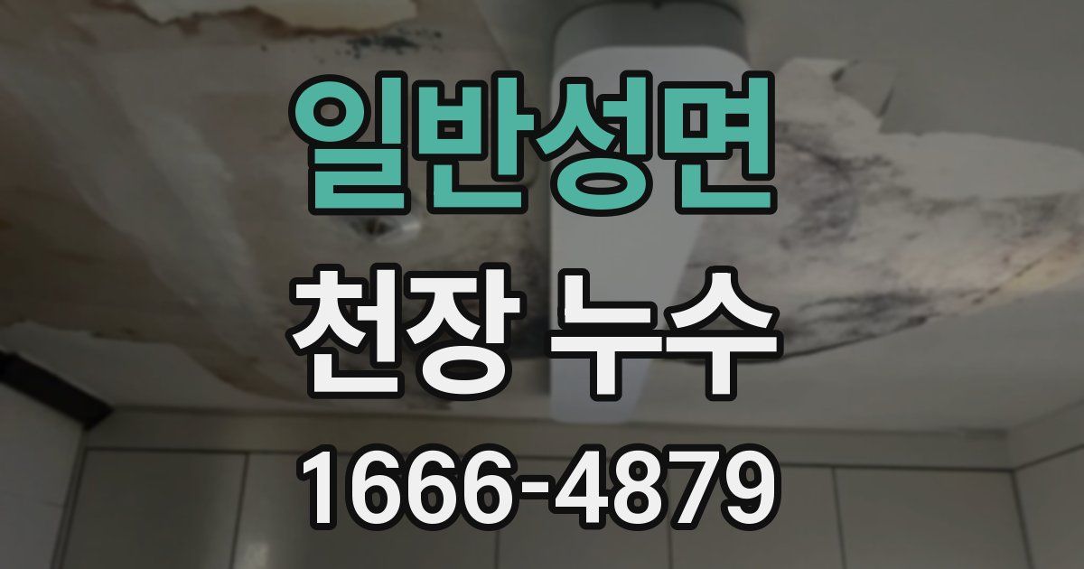 일반성면 천장 누수