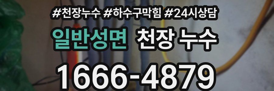 일반성면 천장 누수