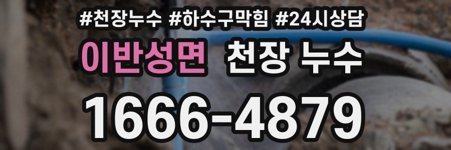 이반성면 천장 누수