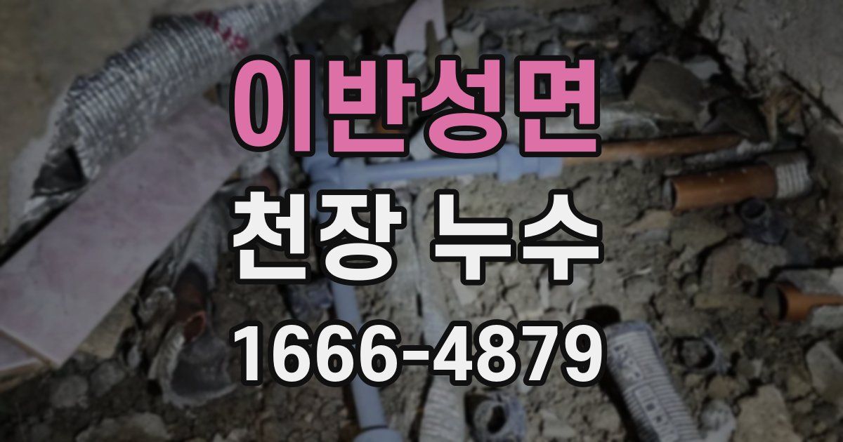 이반성면 천장 누수