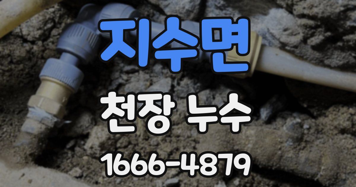 지수면 천장 누수