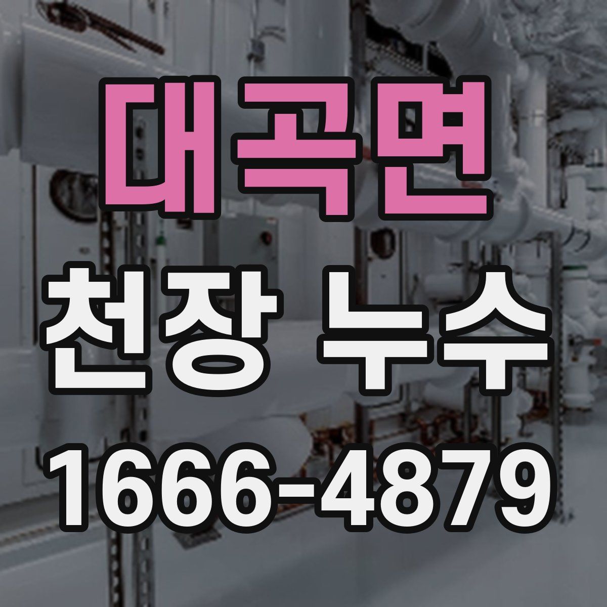 대곡면 천장 누수