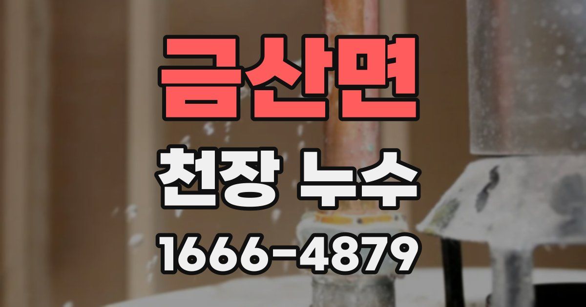 금산면 천장 누수