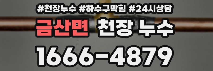 금산면 천장 누수