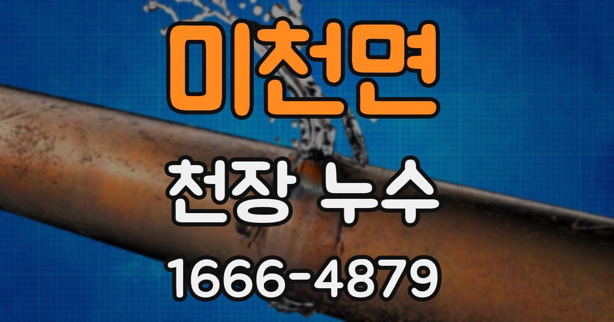 미천면 천장 누수