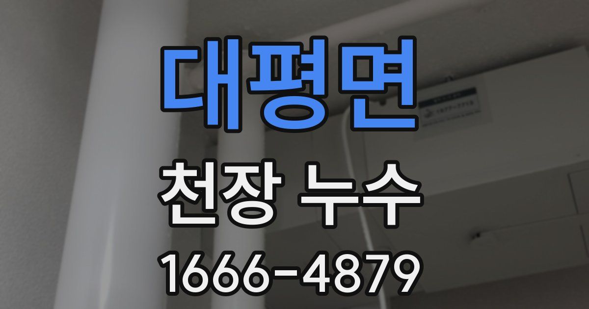 대평면 천장 누수