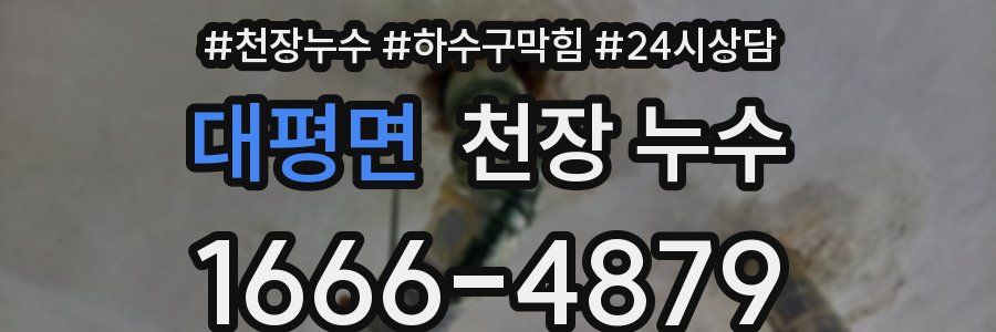 대평면 천장 누수