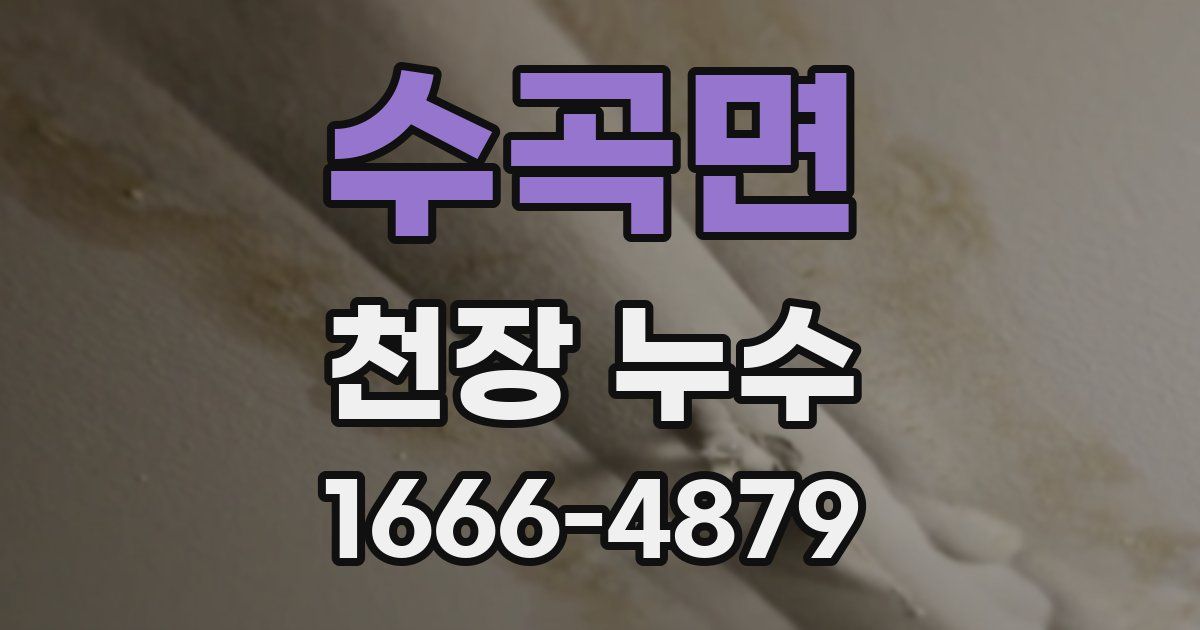 수곡면 천장 누수