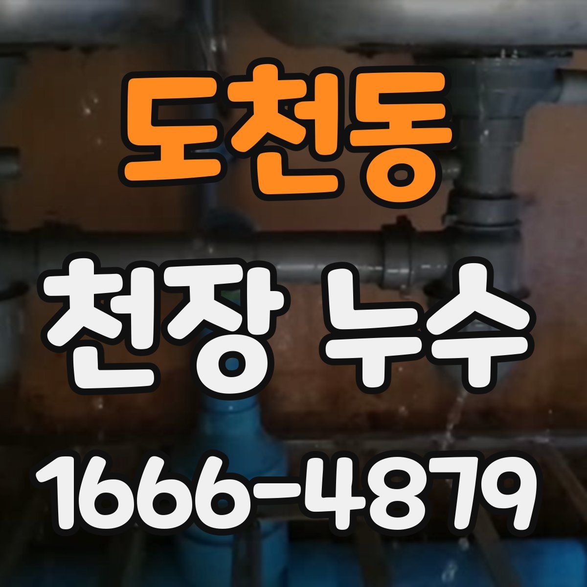 도천동 천장 누수