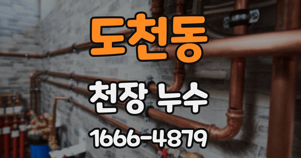 도천동 천장 누수