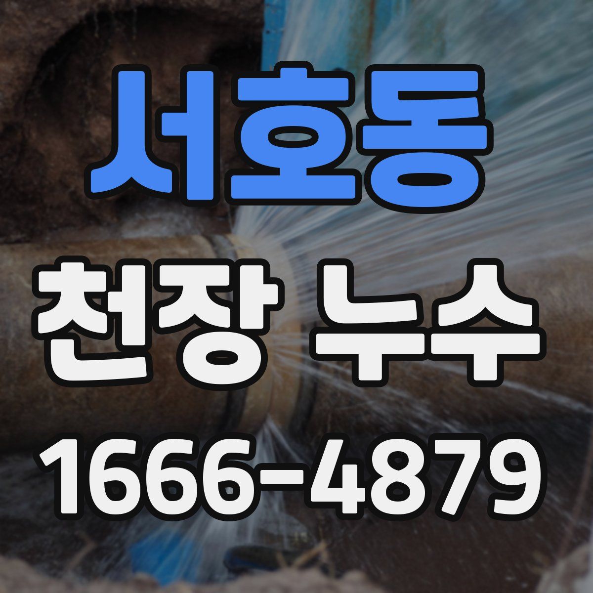 서호동 천장 누수