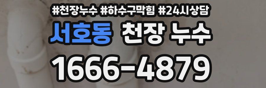 서호동 천장 누수