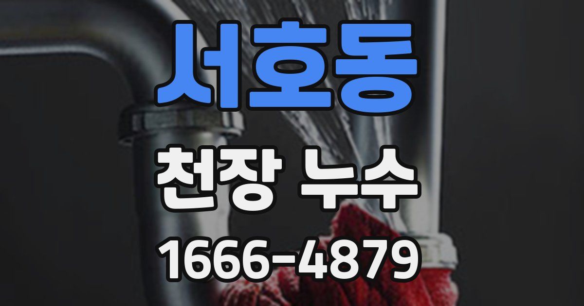 서호동 천장 누수