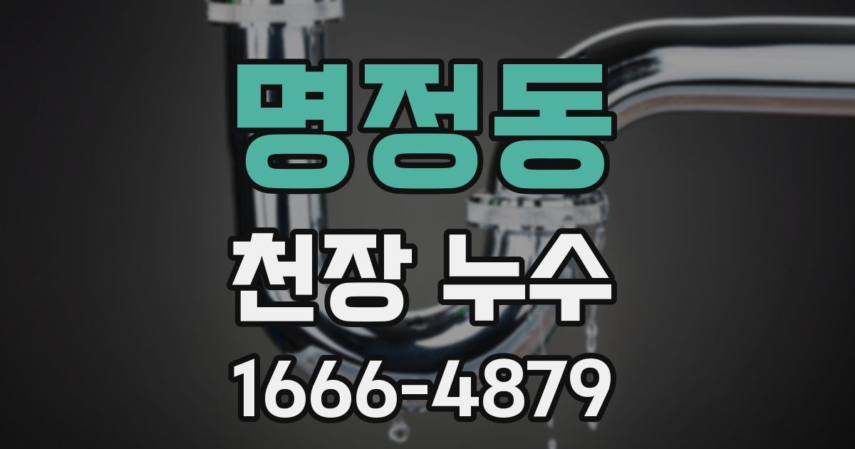 명정동 천장 누수