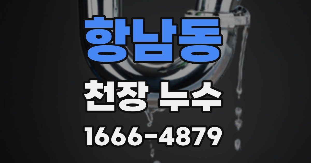 항남동 천장 누수