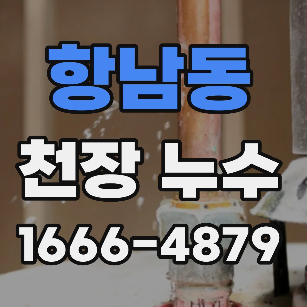 항남동 천장 누수